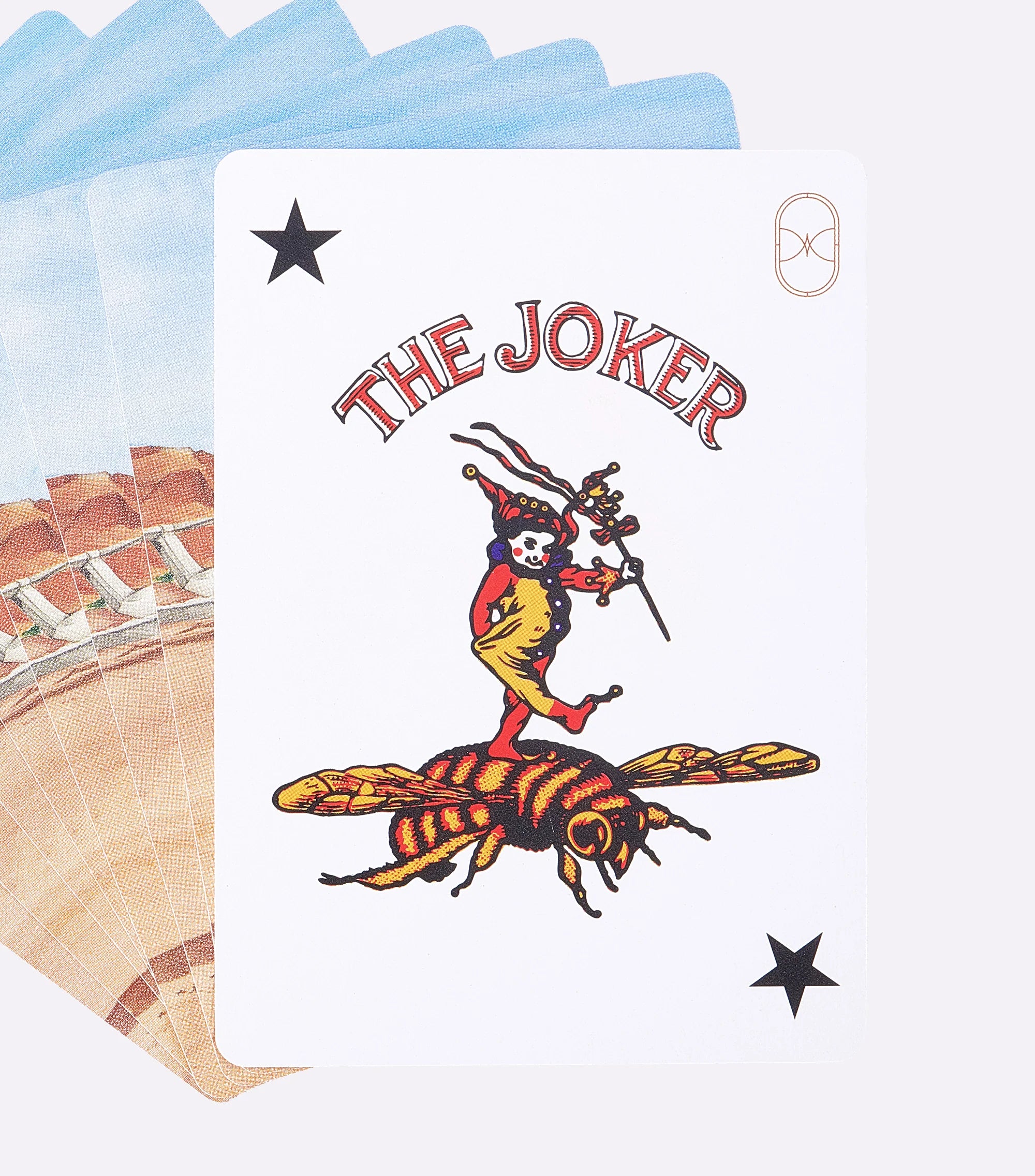 Aerohart Flight Playing Cards