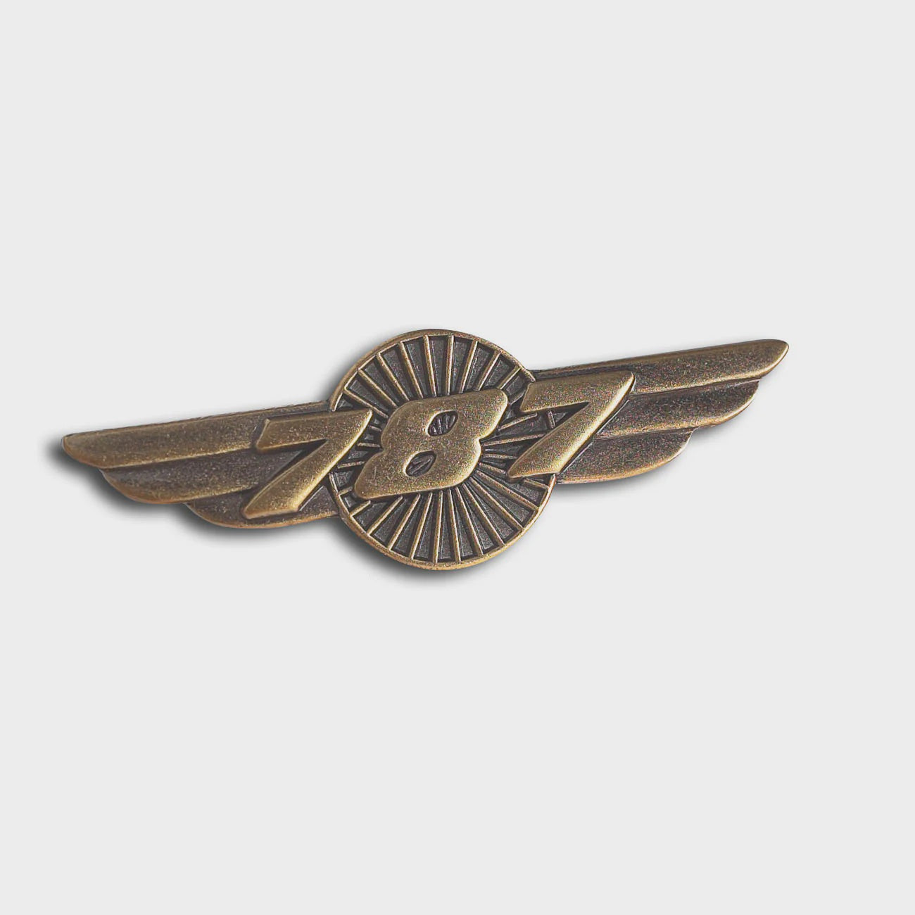 Boeing 787 Dreamliner Wings Pin